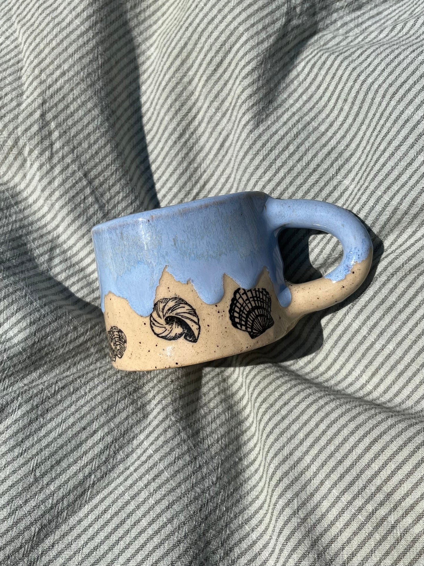 Ocean & Shells Mug