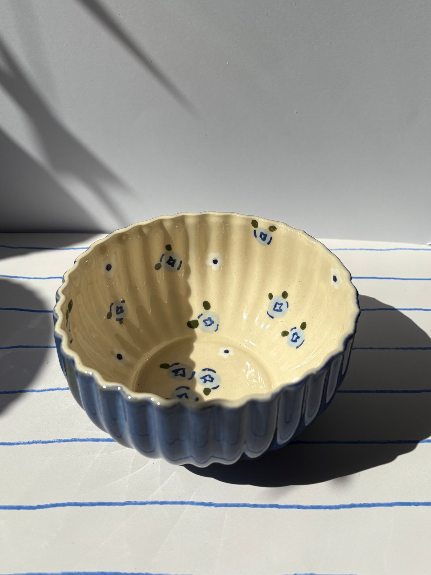 Blueberries Breakfast Bowl