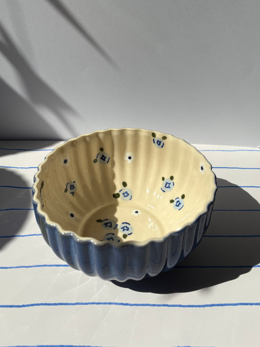 Blueberries Breakfast Bowl