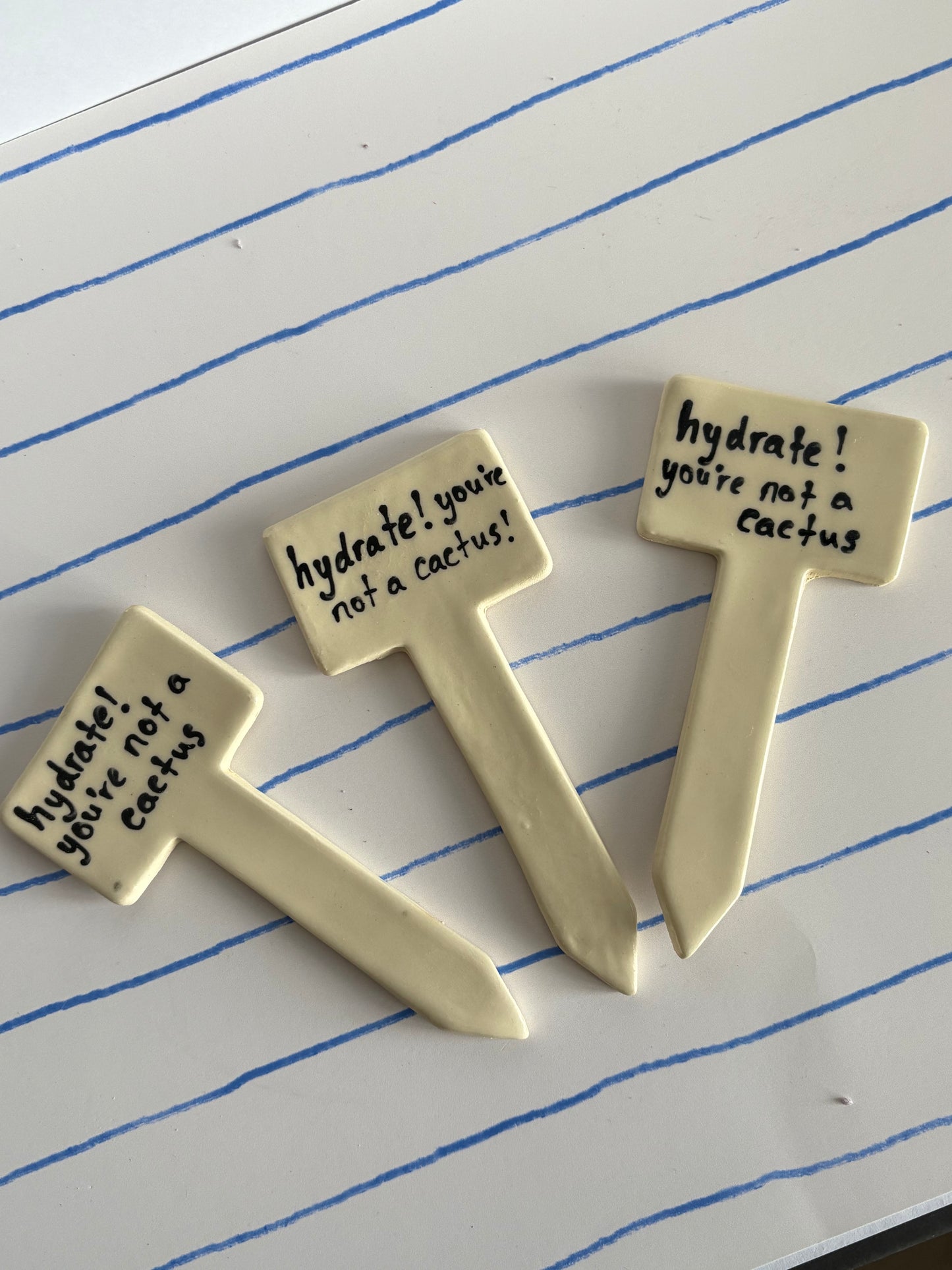 Plant Affirmation Stakes