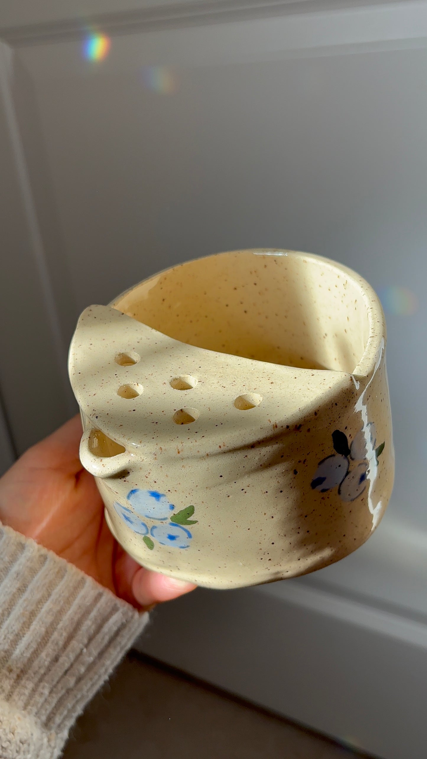 Blueberry Berry Bowl