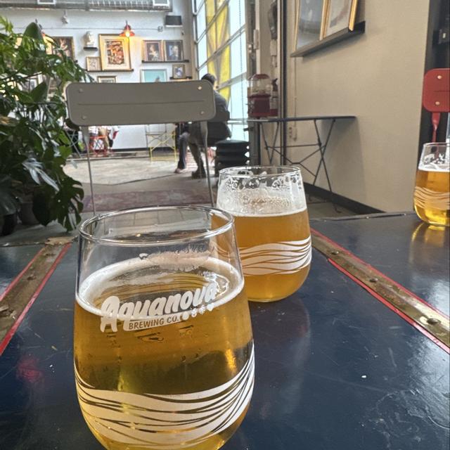 Paint Night at Aquanova Brewing