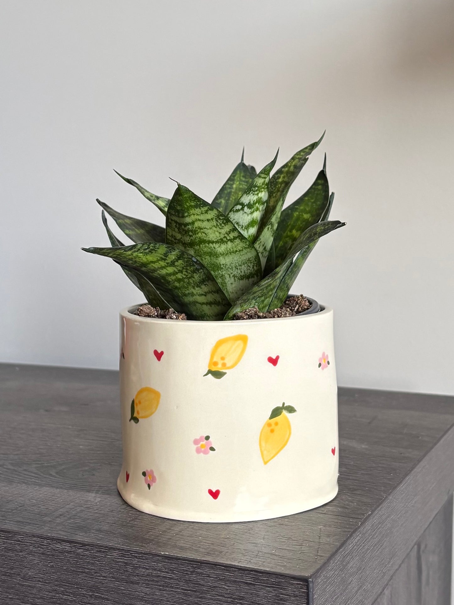 Paint & Plant