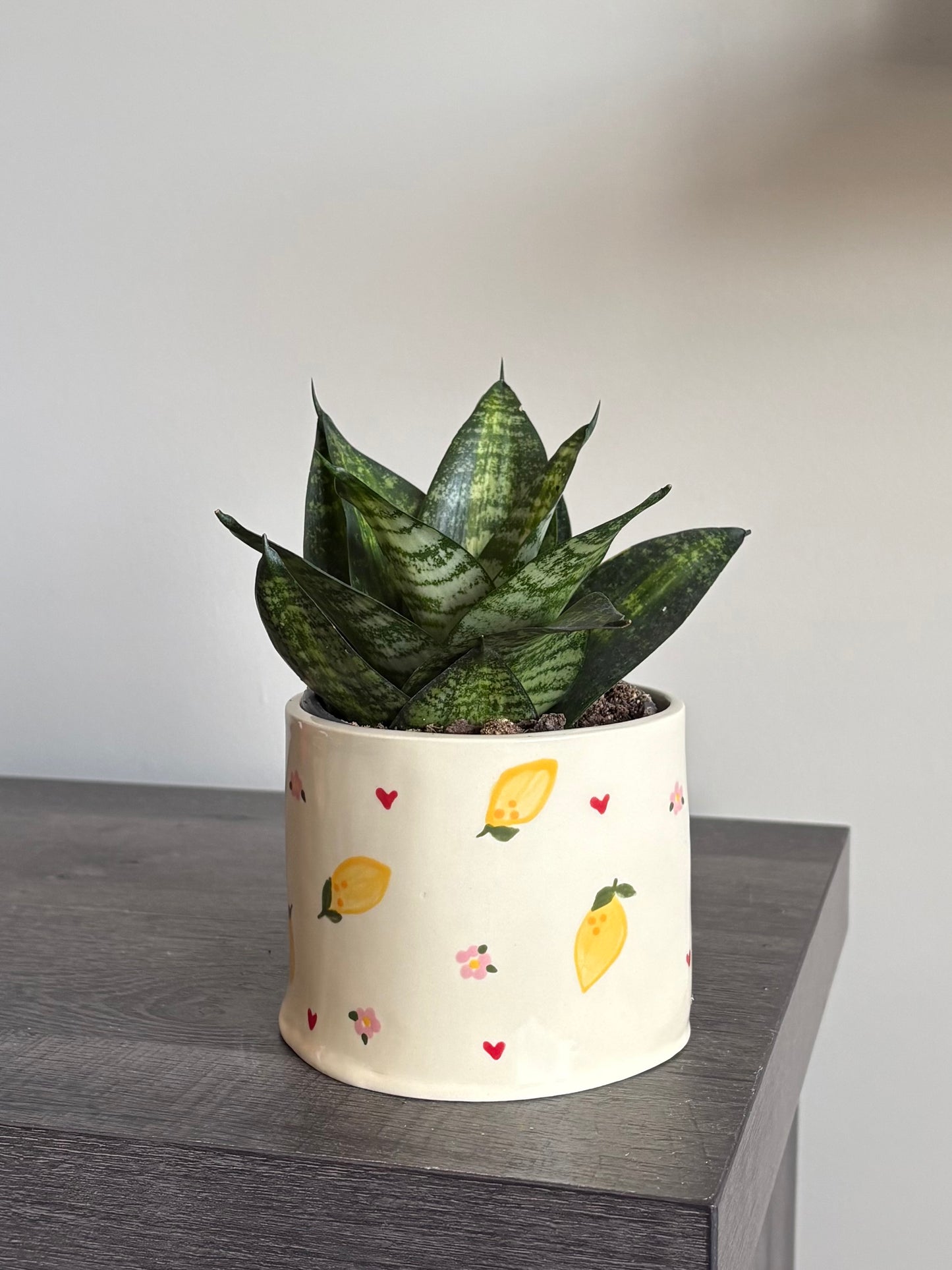 Lemons, Hearts, & Blooms Planter