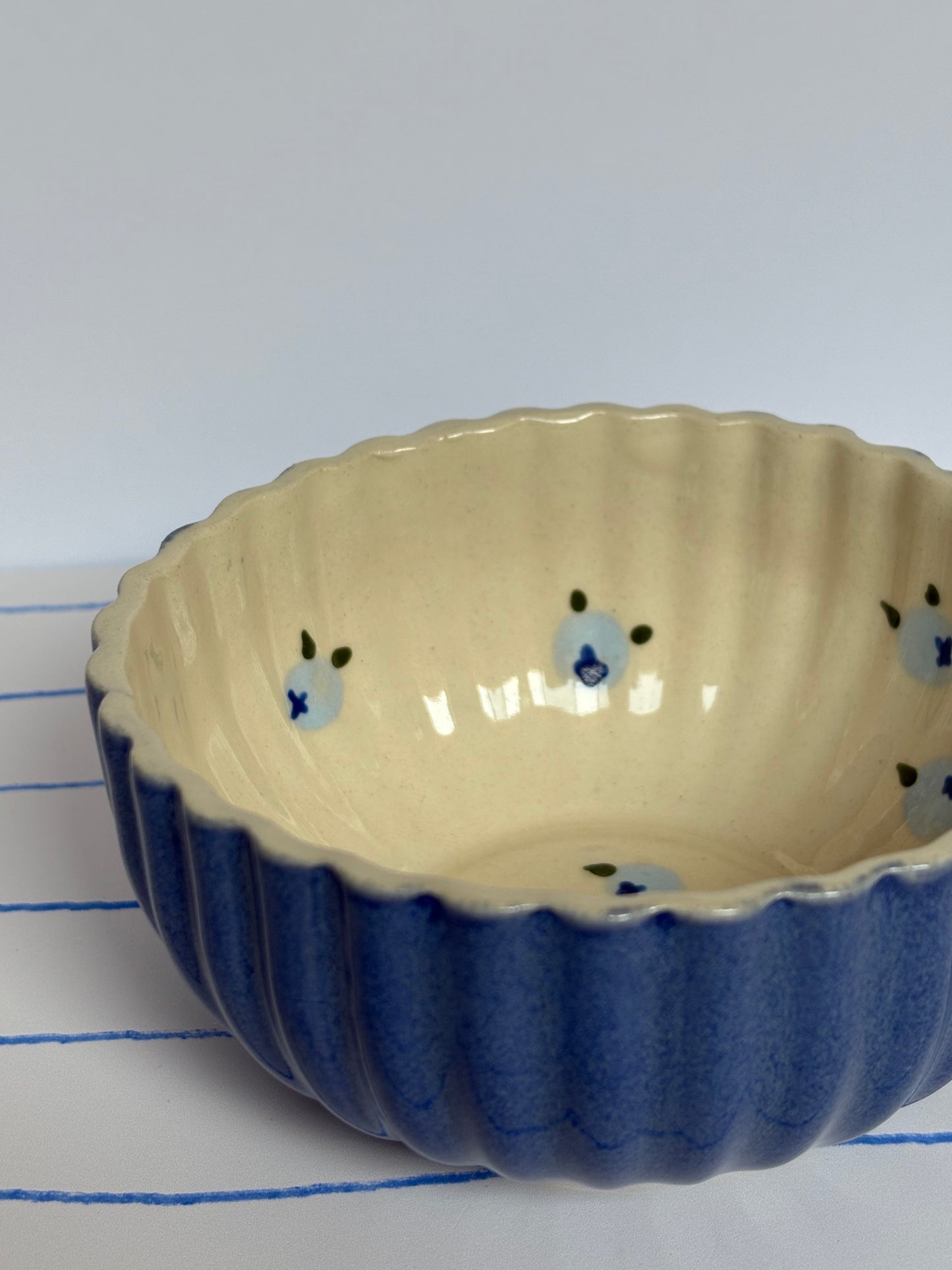 Blueberries Breakfast Bowl