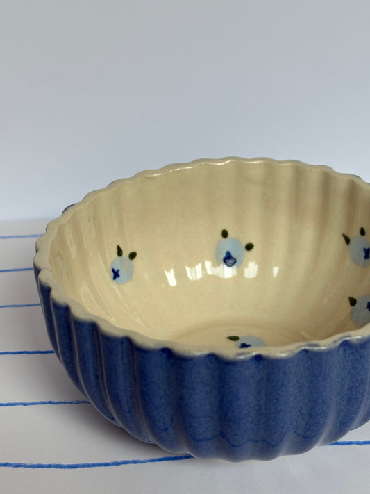 Blueberries Breakfast Bowl