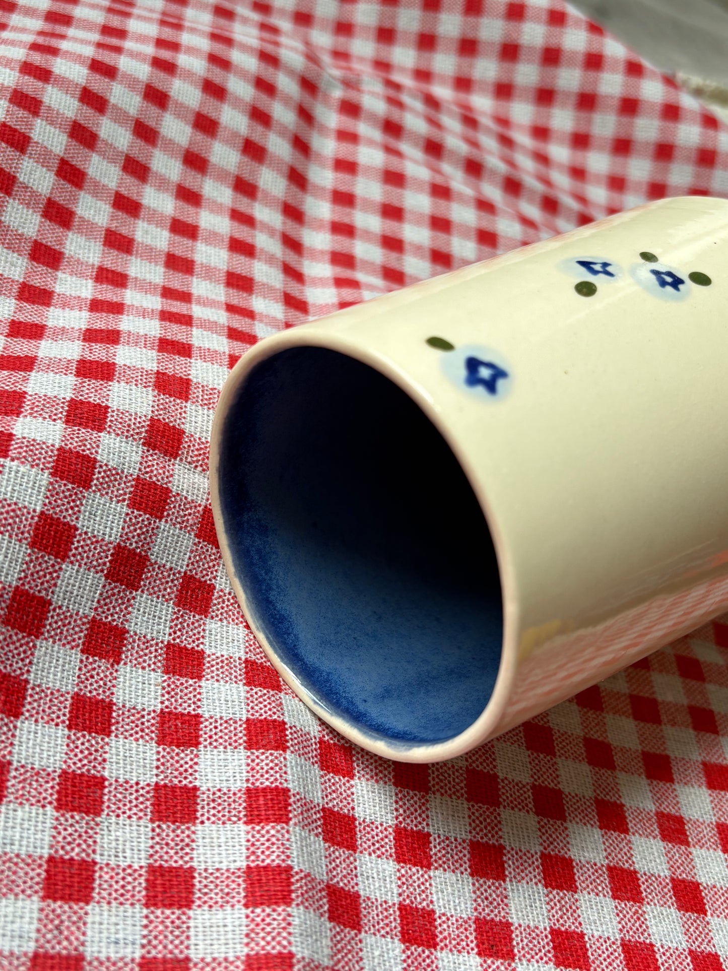 Blueberry Tumbler Cup